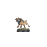 Warhammer Age of Sigmar - Spearhead: Cities of Sigmar – Fusil-Platoon