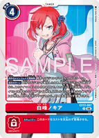 DCG-EX13-067 R TAMER 白峰ノキア