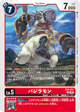 DCG-EX5-011 C LV5 パジラモン