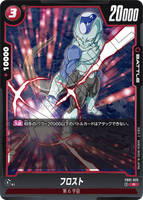 DBSFW-FB01-025 R フロスト