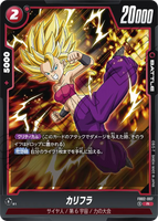 DBSFW-FB02-007 R カリフラ