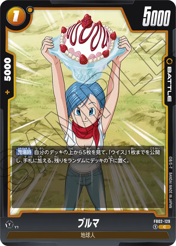 DBSFW-FB02-129 C ブルマ