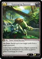 GATCG-FTC-EN-045 C Scavenging Raccoon