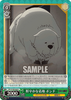 SPY/S106-040 U 鮮やかな着地 ボンド
