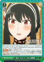 SPY/S106-054 U 受け入れてくれた瞬間