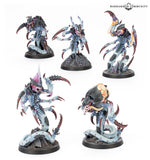 Warhammer 40,000 - Kill Team: Typhon