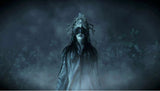 NS Fatal Frame: Maiden of Black Water