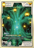 Lantern Leaflore