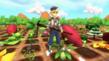 NS Rune Factory 5
