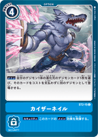 ST2-15 C Option カイザーネイル