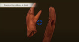 NS The Great Ace Attorney Chronicles