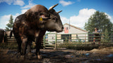 PS4 Far Cry 5