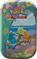 Pokémon TCG: Celebrations - Hoenn Starters Mini Tin
