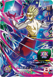 Super Dragon Ball Heroes - Official 9th Anniversary 9-Pocket Binder Set