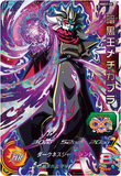 Super Dragon Ball Heroes - Official 9th Anniversary 9-Pocket Binder Set